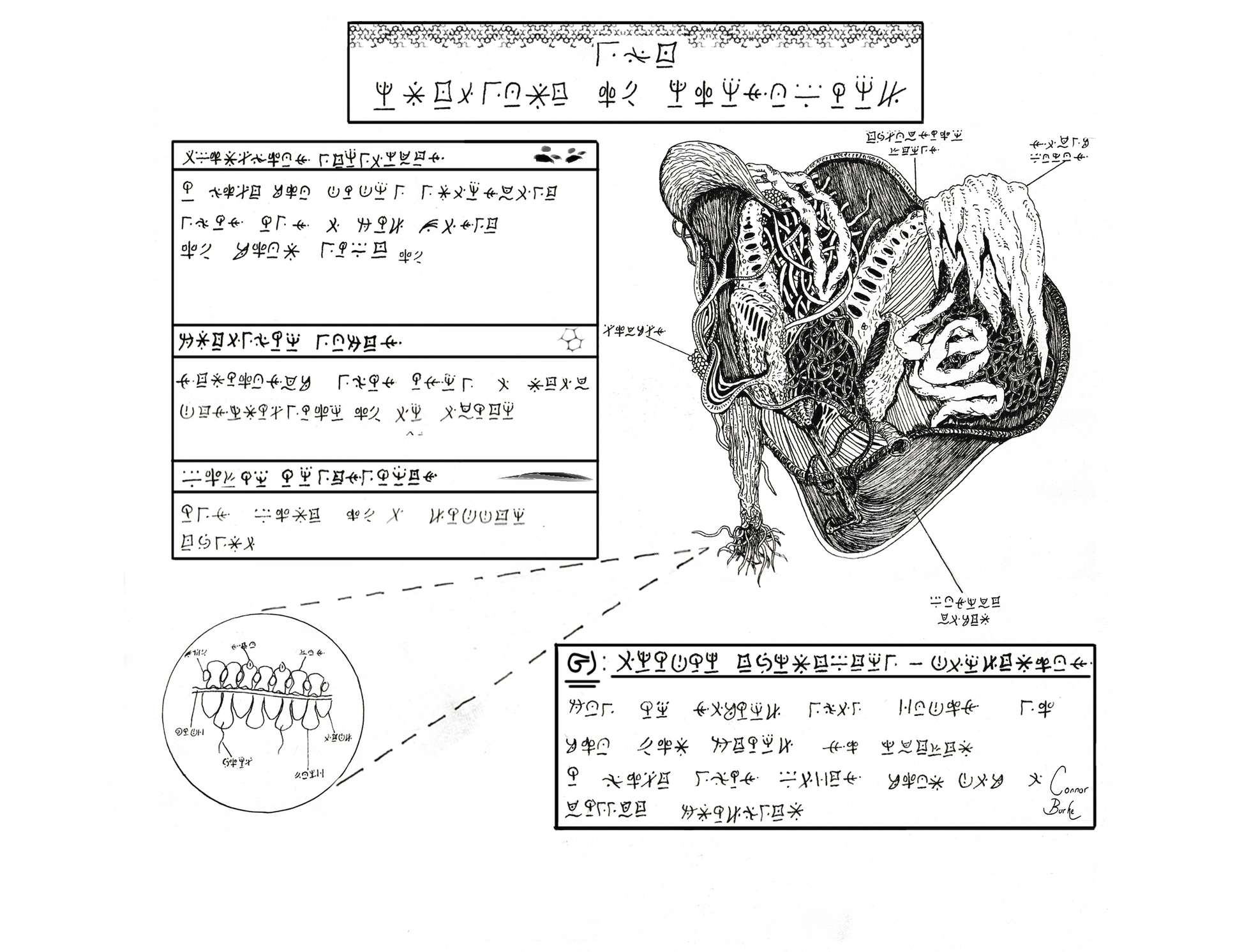 A black and white fineliner drawing of an alien parasite. It is displayed as if an image in a textbook with labelled sections and a zoomed in section to show the molecular structure of the beast. The creature has tentacles and tendrils as well as plenty of what looks like gills.