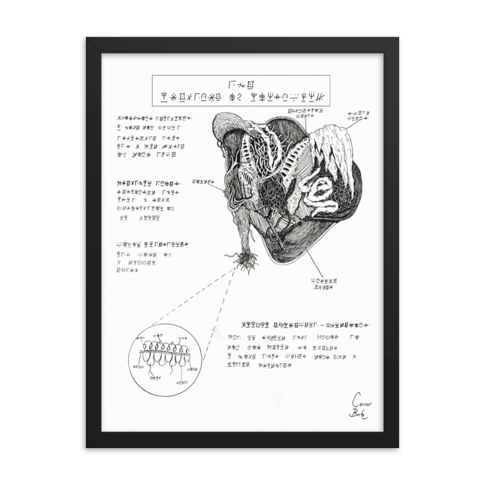 A black framed fineliner drawing of an alien parasite. It is displayed as if an image in a textbook with labelled sections and a zoomed in section to show the molecular structure of the beast. The creature has tentacles and tendrils as well as plenty of what looks like gills.