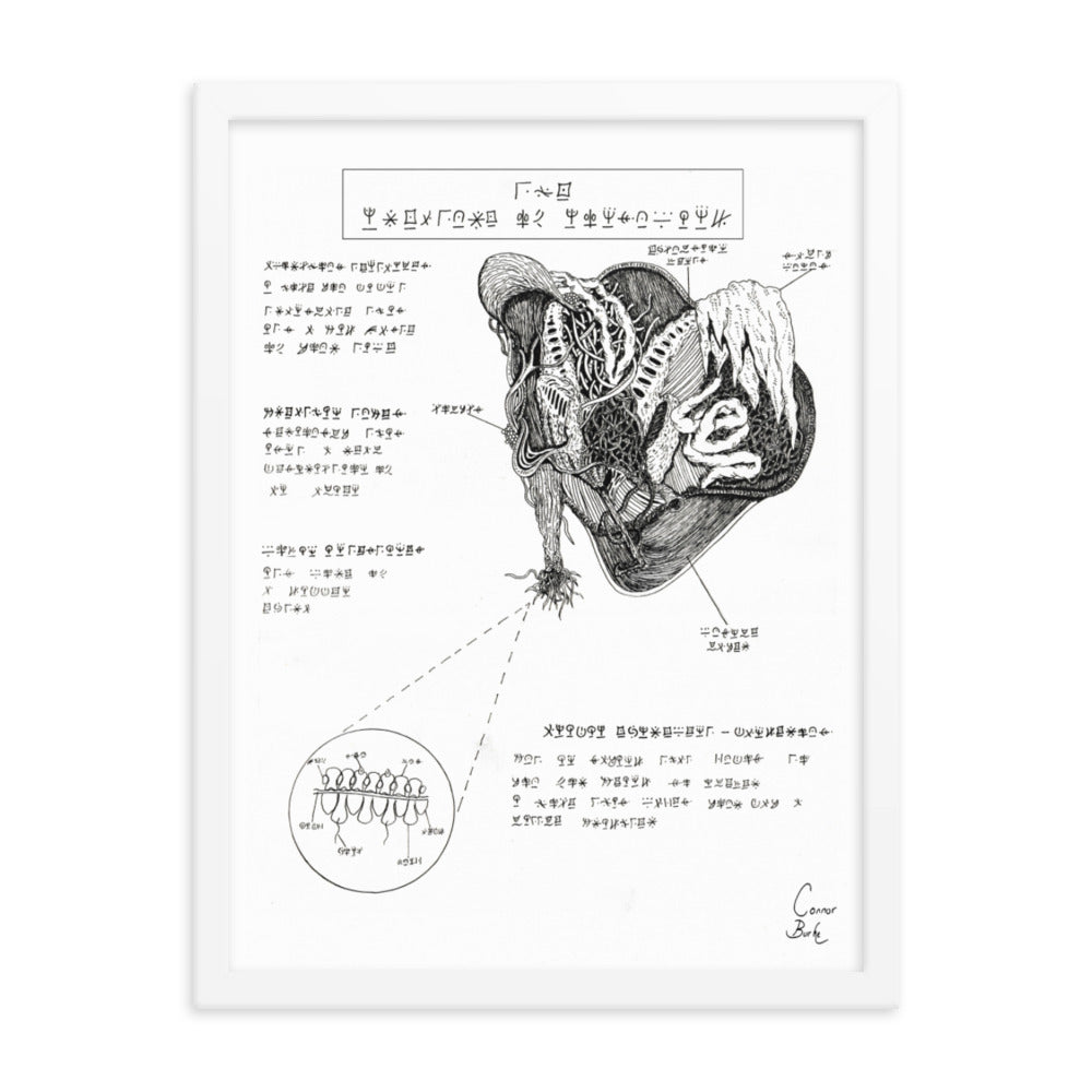 A white framed fineliner drawing of an alien parasite. It is displayed as if an image in a textbook with labelled sections and a zoomed in section to show the molecular structure of the beast. The creature has tentacles and tendrils as well as plenty of what looks like gills.